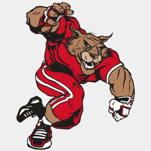 AR WILDCAT 32 RC Thumbnail