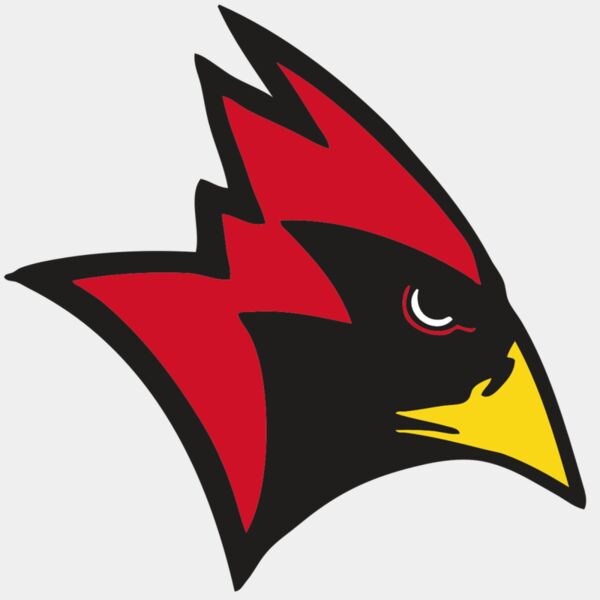 AR CARDINAL 23 RC Thumbnail