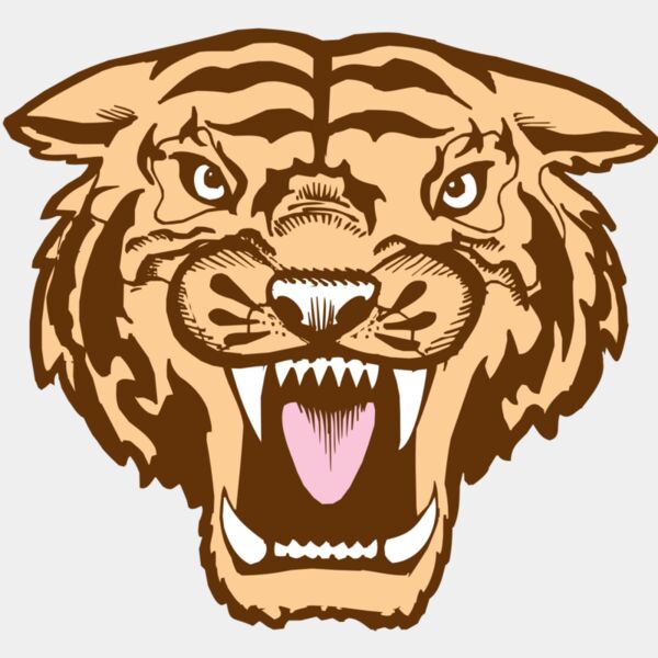 BAW TIGER 05 RC Thumbnail