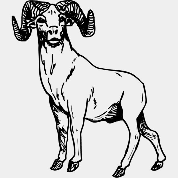 RAM009 Thumbnail