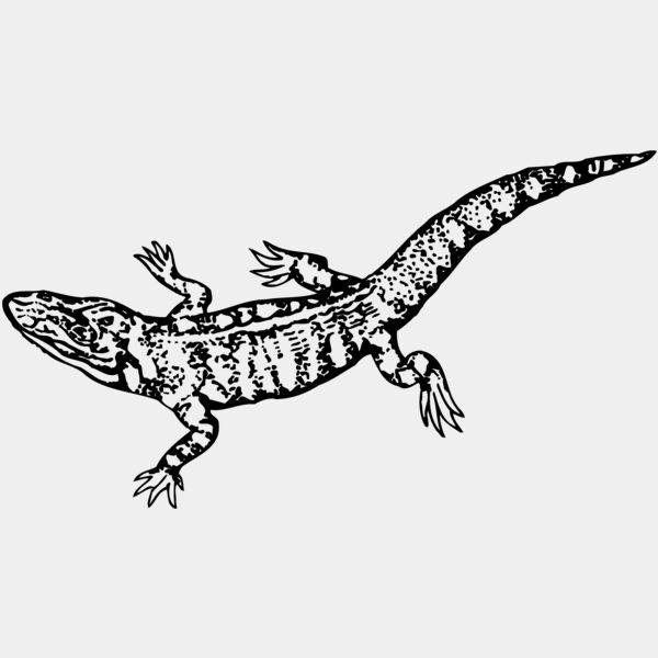 LIZARD02 Thumbnail