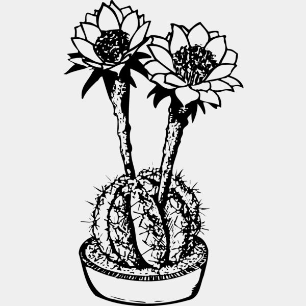 CACTUS03 Thumbnail