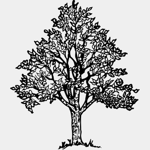 TREE0004 Thumbnail